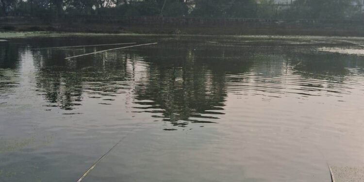 JMC revives traditional pond at ward No. 55 to boost groundwater recharge, urban water security