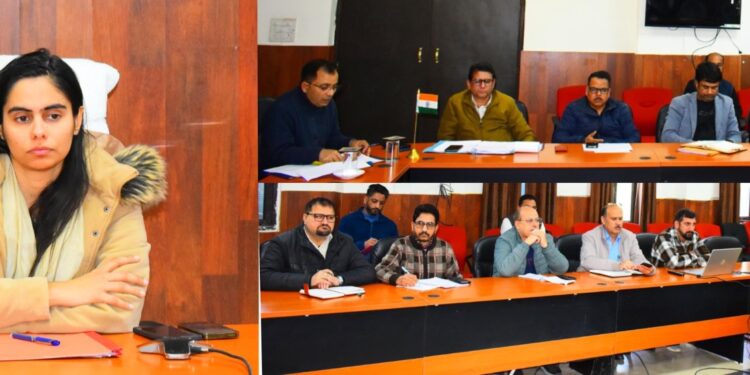 DC Reasi reviews measures for curbing stray dog menace