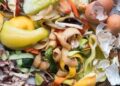 FDA issues Advisory on Environmentally Complaint Disposal of seized Food Items
