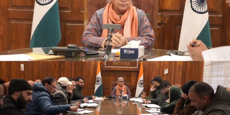DC Bandipora reviews Stray Dog Management; Stresses Strict Compliance, Coordinated Action