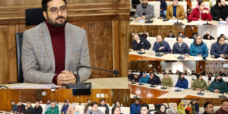 DC Srinagar reviews implementation of PM Surya Muft Bijli Yojana in district