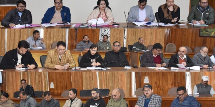 DC reviews progress of financial inclusion & social security schemes, solarization of govt buildings, SASCI scheme and District Capex Budget 2025–26