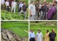 Director Agriculture Kashmir assesses Gusty Wind Damage at Lalmandi