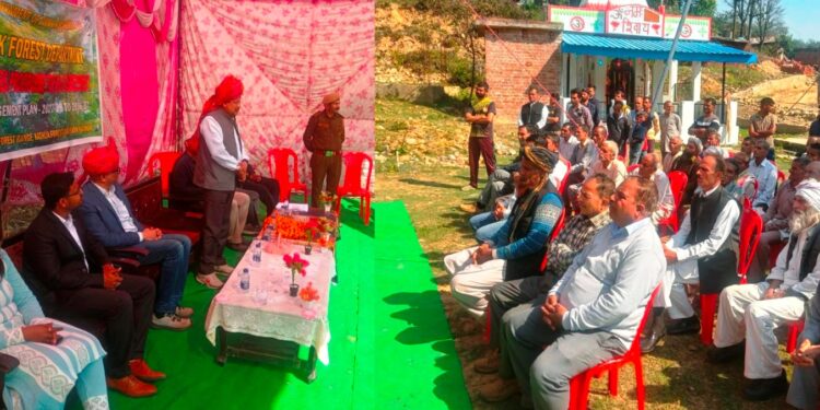 Forest Department conducts Khair assessment visit in Kathua, Samba divisions