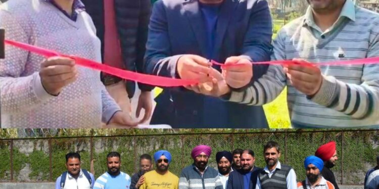 Seasonal Tulip Garden opens for public at Krishan Chander Park-Poonch