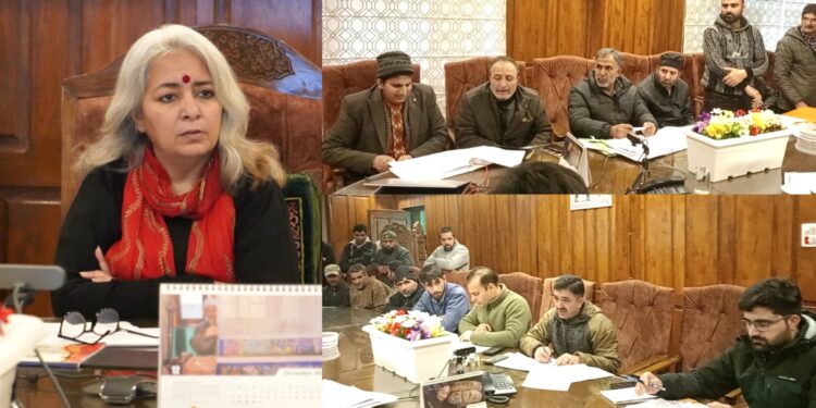 DC Bandipora presides over DLC under PMMSY; Fisheries units approved through Draw of Lots