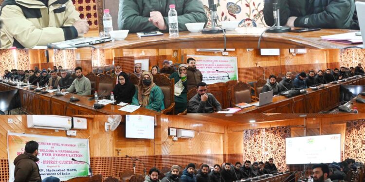 Commissioner Survey and Land Records reviews progress on verification of digitized Jamabandies