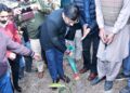 District admin Rajouri, BGSBU conduct mega plantation drive at university campus