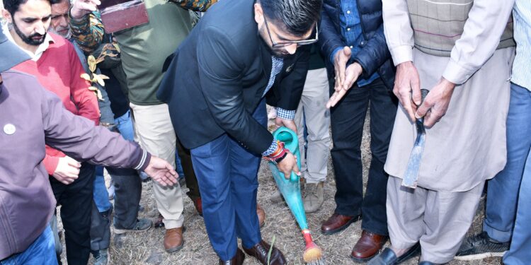 District admin Rajouri, BGSBU conduct mega plantation drive at university campus