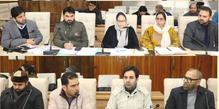 DC Srinagar reviews progress of Solarization of Government Buildings in the District