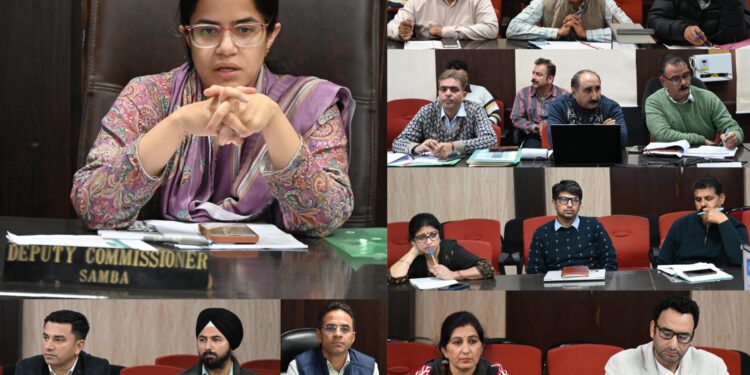DDC Samba chairs District Level Committee meeting to review progress of HADP, JKCIP