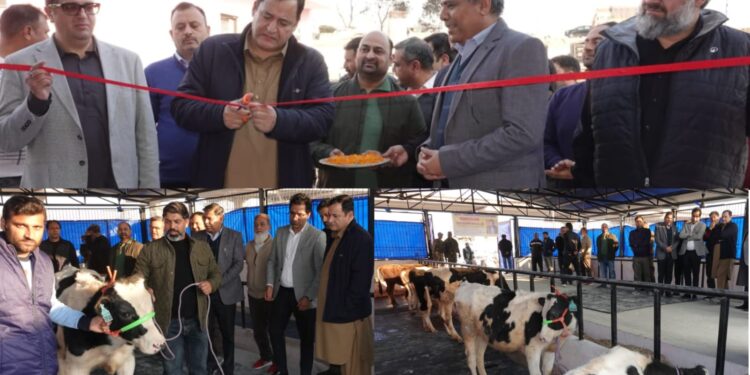 Dairy sector a key engine of agricultural economy