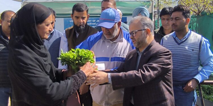 Director Agriculture Kashmir inaugurates 5th phase of Vegetable Seedling Distribution Drive