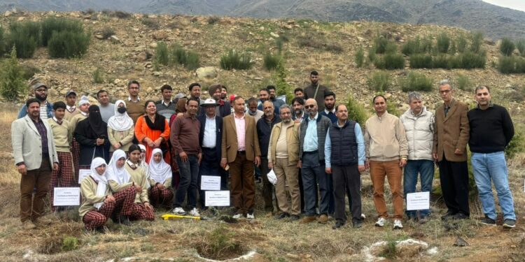 Mega Plantation Drive launched at Faculty of Forestry with Theme “For a Greener Tomorrow” at Benhama