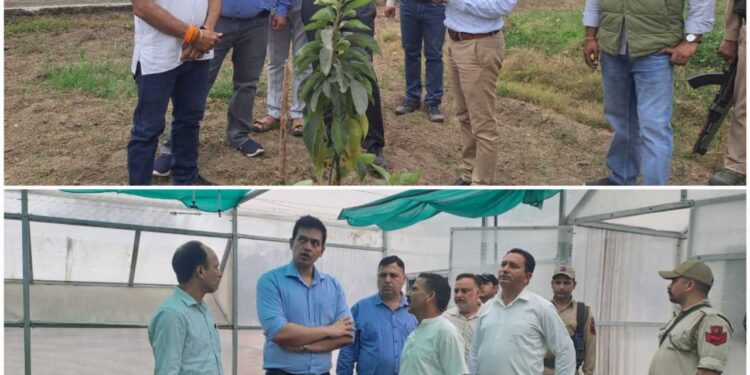 DC Jammu reviews horticulture development activities in Bhalwal block