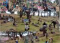 Plantation Drive held in Shopian
