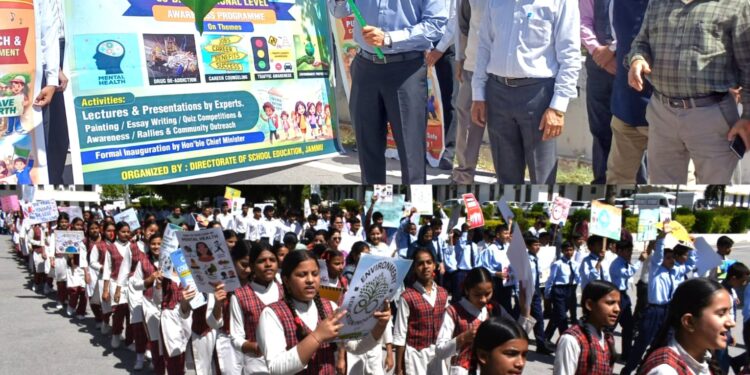 DC Reasi flags off multi-thematic awareness rally