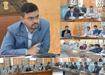 DC Kulgam reviews Projects under NABARD Sector