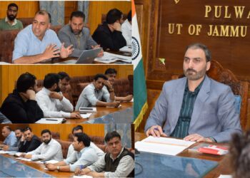 DC Pulwama chairs DLC meeting for forest demarcation and boundary pillar installation