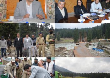 DC Budgam reviews Development Works at Doodhpathri