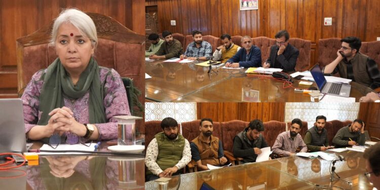DC Bandipora reviews progress of Capex Works in Gurez Sub-Division