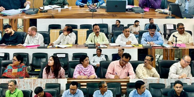 DC Kathua reviews Action Plans for Vibrant Villages; stresses 100% saturation of schemes