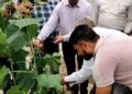 Samba: HADP beneficiary grows Seedless Cucumber in Hi-Tech Poly House