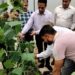 Samba: HADP beneficiary grows Seedless Cucumber in Hi-Tech Poly House
