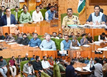 DC Shopian chairs DLTC meeting