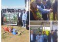 Social Forestry Budgam organizes Plantation Drive