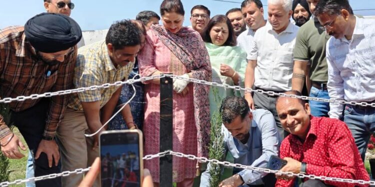 DHSJ organizes plantation drive