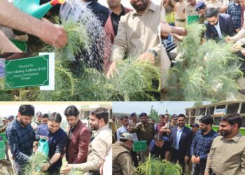 DC Srinagar leads plantation drive under ongoing 100-day intensive Nasha Mukt J&K Abhiyan