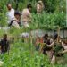 Illegal Poppy Cultivation destroyed in Bandipora; Two Cases registered