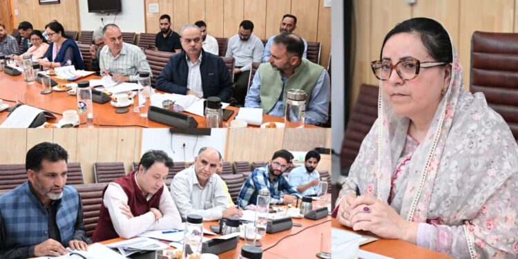 Sustained efforts being made to ensure inclusive, equitable development across J&K: Sakeena Itoo