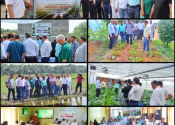 KVK Bandipora hosts Four-Day Training Programme on Natural Farming under NMNF