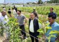 HADP: Ultra High-Density Apple cultivation gets impetus in Kishtwar