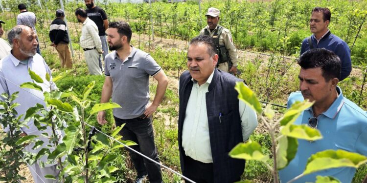 HADP: Ultra High-Density Apple cultivation gets impetus in Kishtwar
