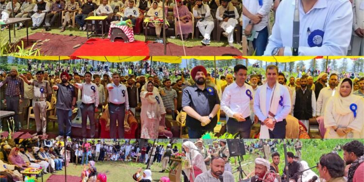 Maiden Iris Flower Bloom Festival organized at Dherian Top- Gool