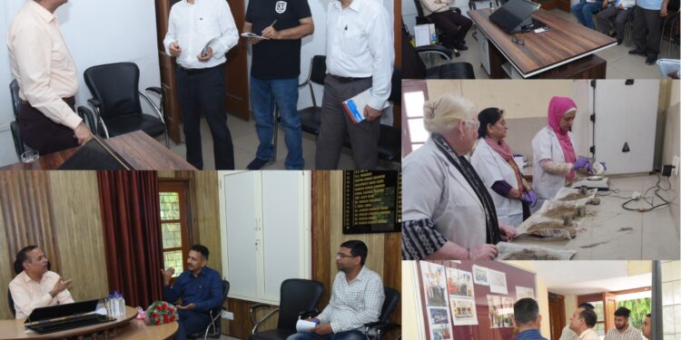 DAJ conducts surprise inspection of Sectoral Offices, SDAO Marh