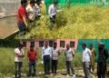 Divisional Seed Certification Officer visits SM Farm Watapora