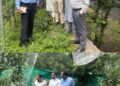 DC conducts inspection, interacts with orchardists at Kanuyian, Mangnar