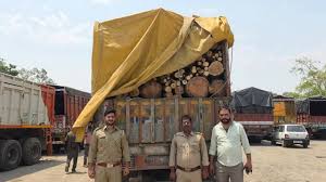Kathua Forest Division seizes truck carrying illicit firewood