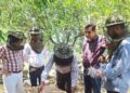 Honey extraction conducted at DCTC Chimna Chak