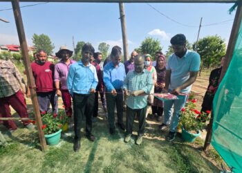Director Agriculture inaugurates Flower Seedling Distribution at Lalmandi