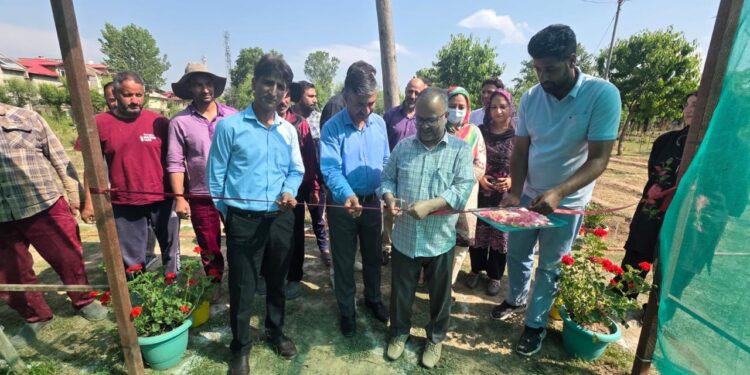 Director Agriculture inaugurates Flower Seedling Distribution at Lalmandi