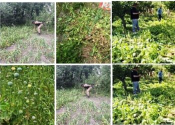 Nasha Mukt J&K Abhiyan