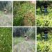 Nasha Mukt J&K Abhiyan