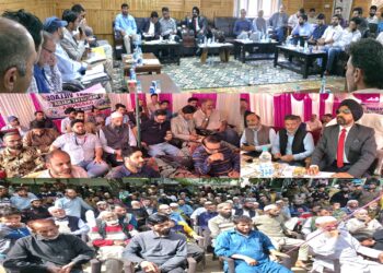 Mentor Secretary for Vibrant Villages Programme reviews developmental plans for Dardpora village in Lolab