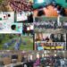 District Admin Bandipora organizes NMBA Awareness Activities across Educational Institutions