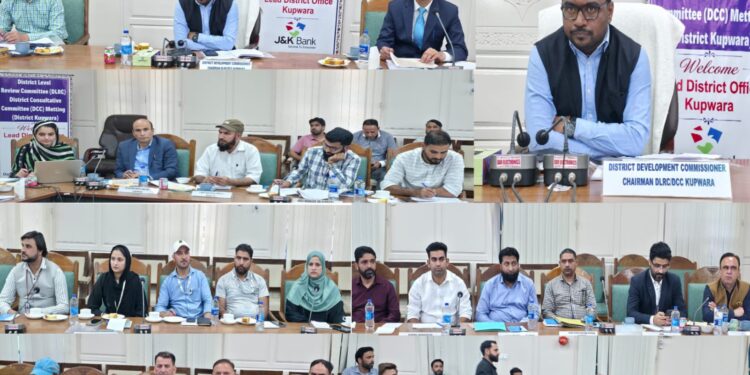 DC Kupwara chairs DLRC/DCC Meeting